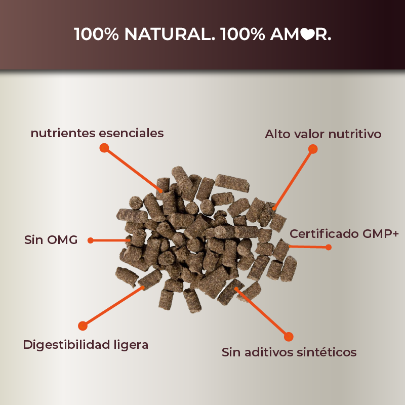 Pienso natural para perros adultos