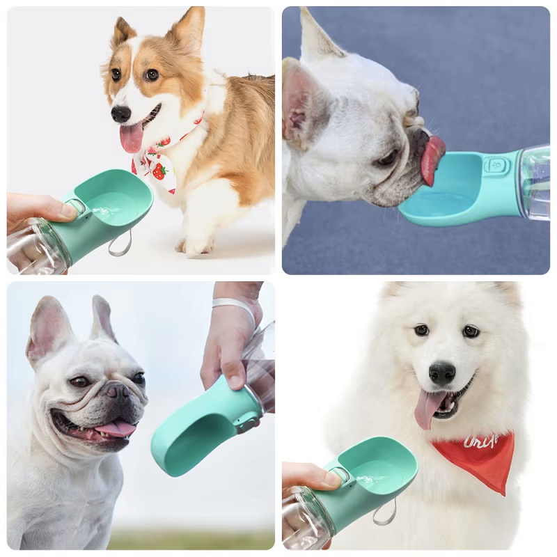 Dispensador de agua para perros